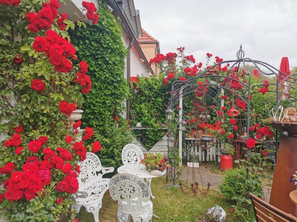 cafesahne u Pension Dranske Bagian luar foto