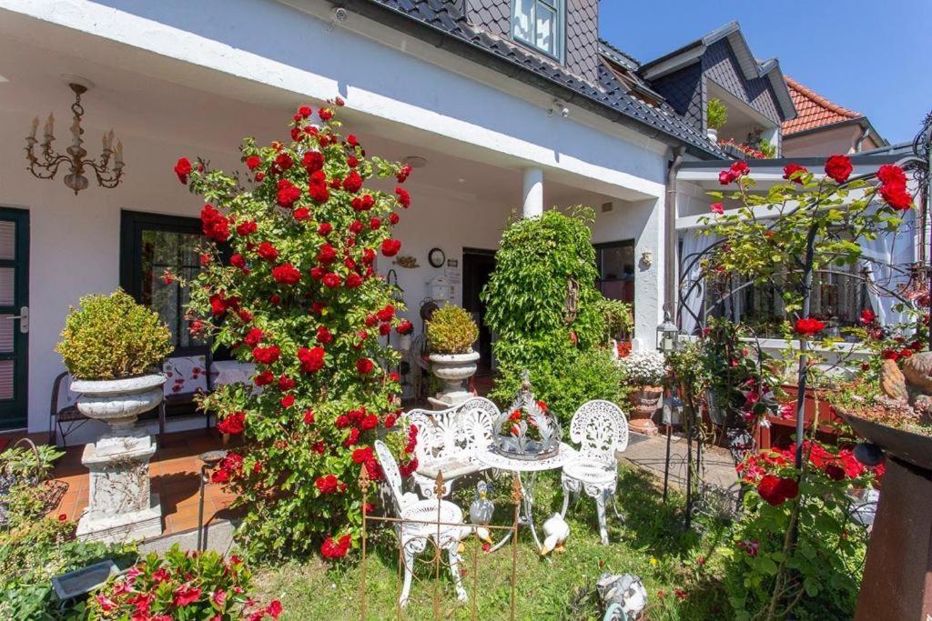 cafesahne u Pension Dranske Bagian luar foto