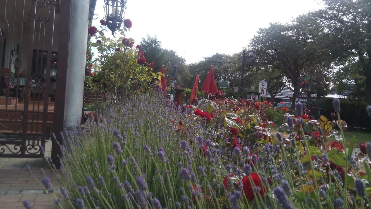 cafesahne u Pension Dranske Bagian luar foto